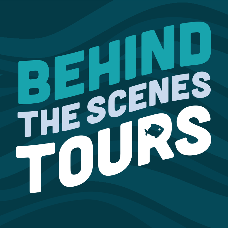 Behind-the-Scenes Aquarium Tour