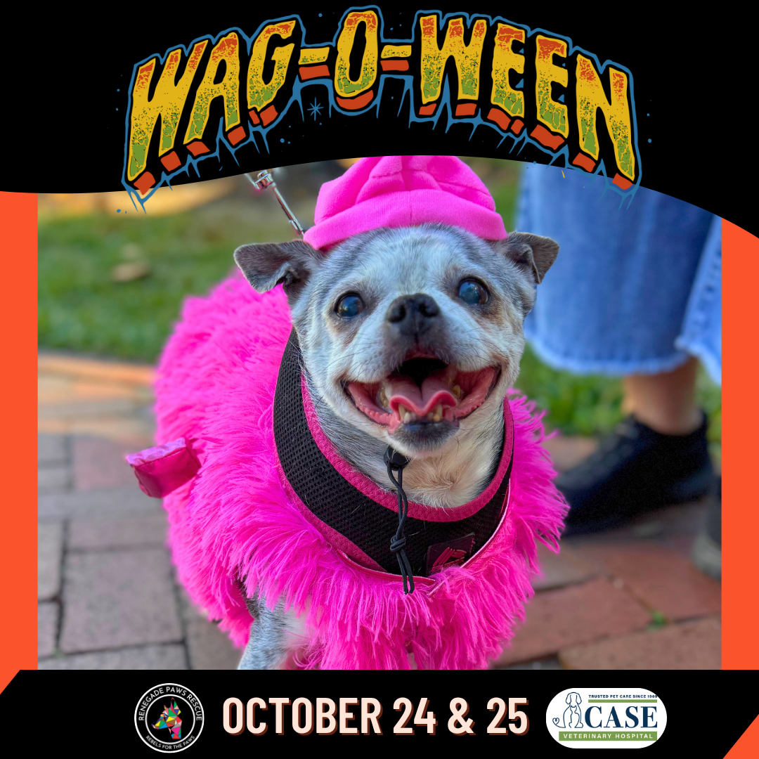 Wag-O-Ween Weekend!