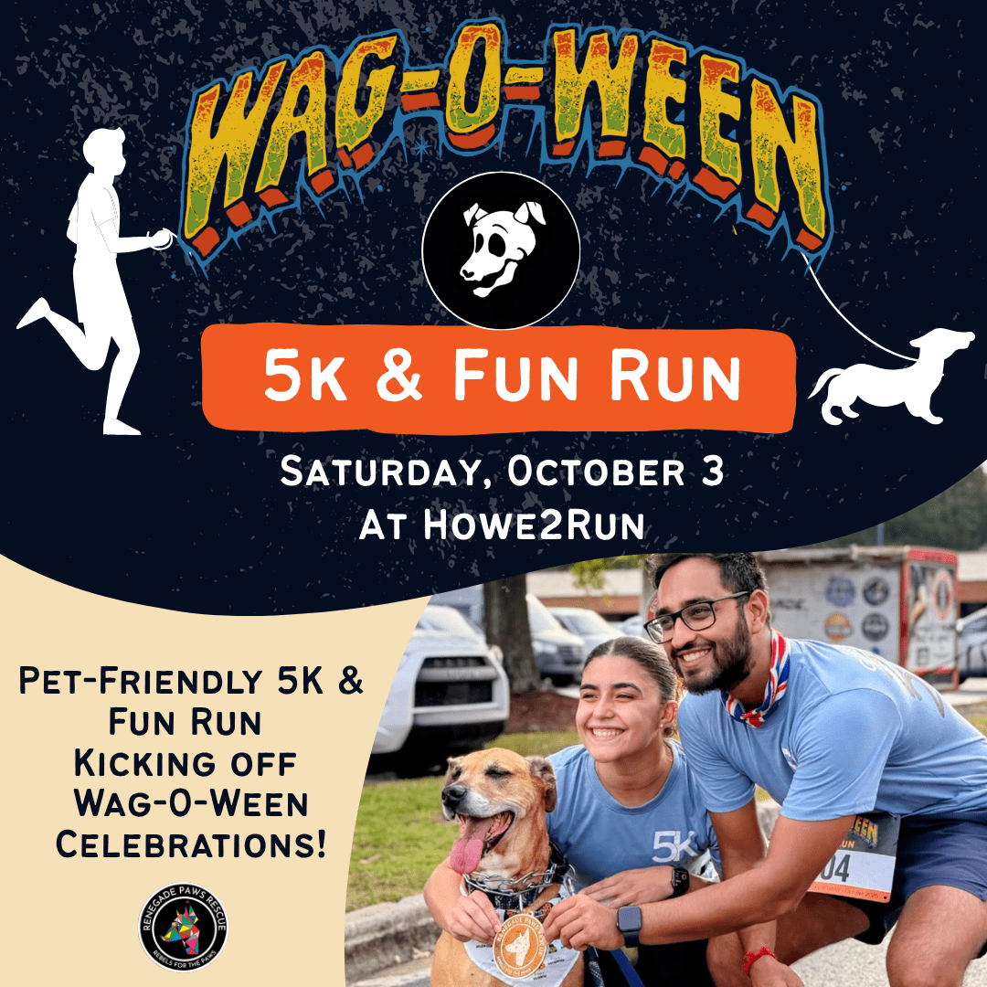 Fun Run square 2026
