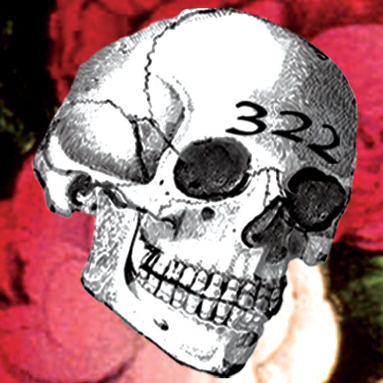 skull (1)