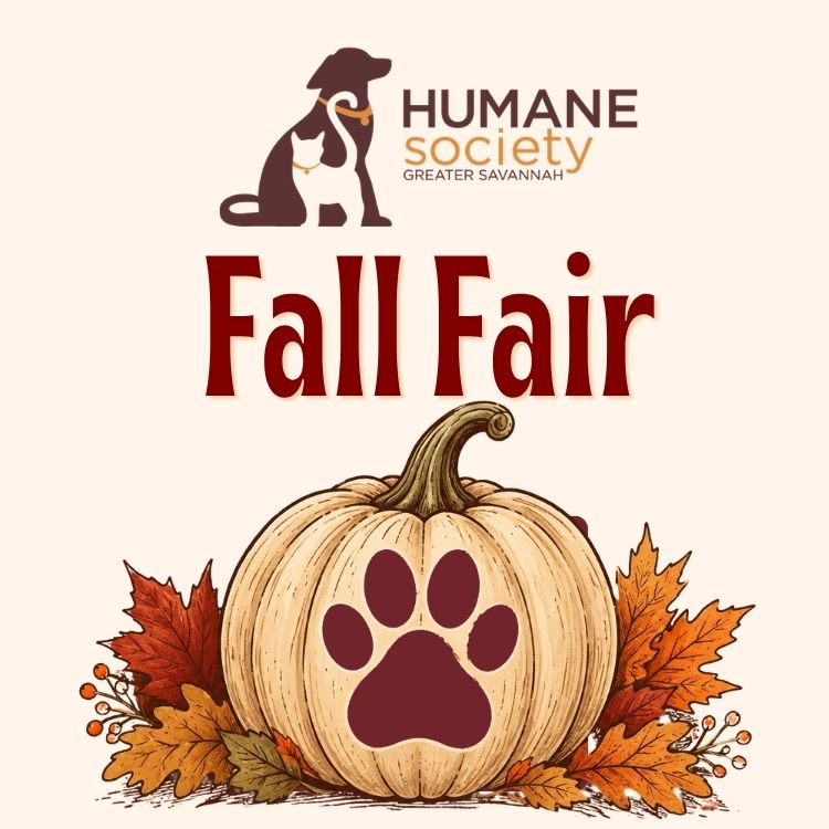 Humane Society’s Annual Fall Fair
