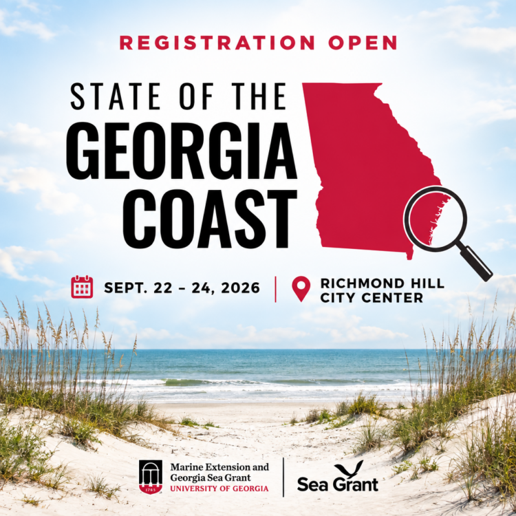 State of the Georgia Coast