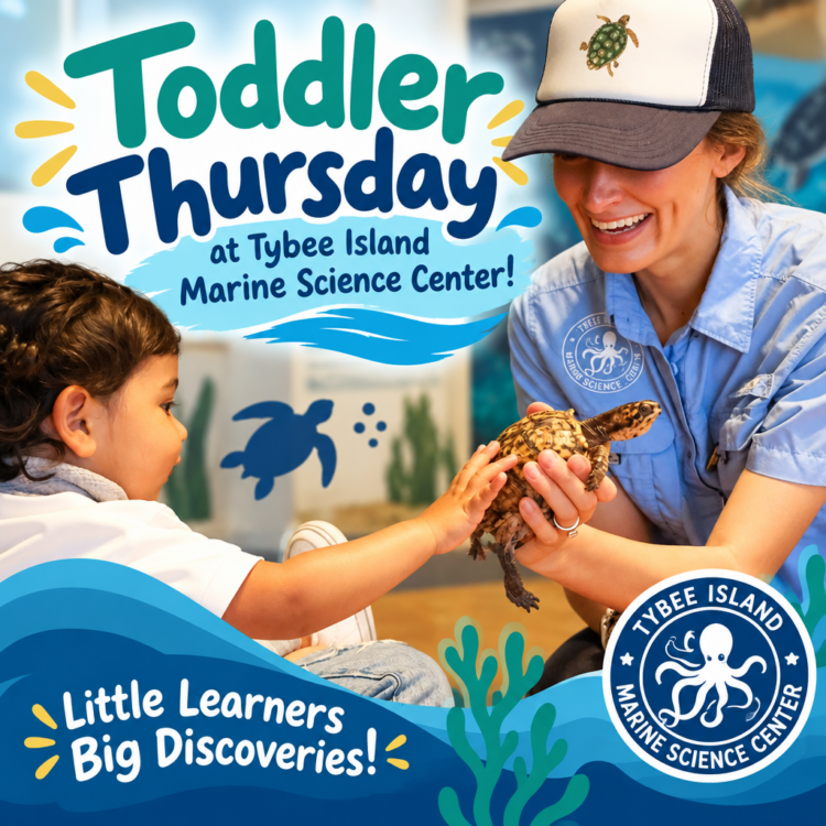 Toddler Thursday at Tybee Island Marine Science Center!