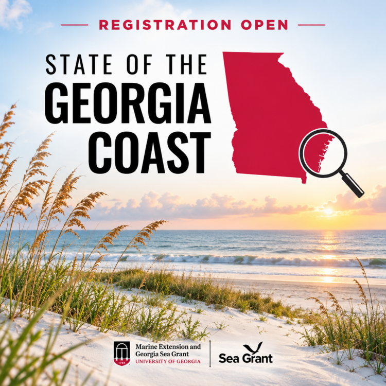 State of the Georgia Coast